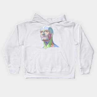 human body anatomy 4 Kids Hoodie